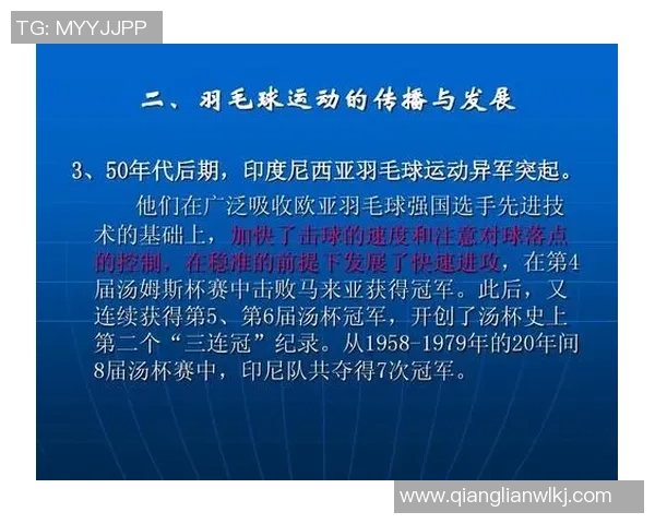北京羽毛球队杯赛精彩表现分析与力量展现的深度解读